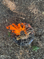 Cone Fire Pit